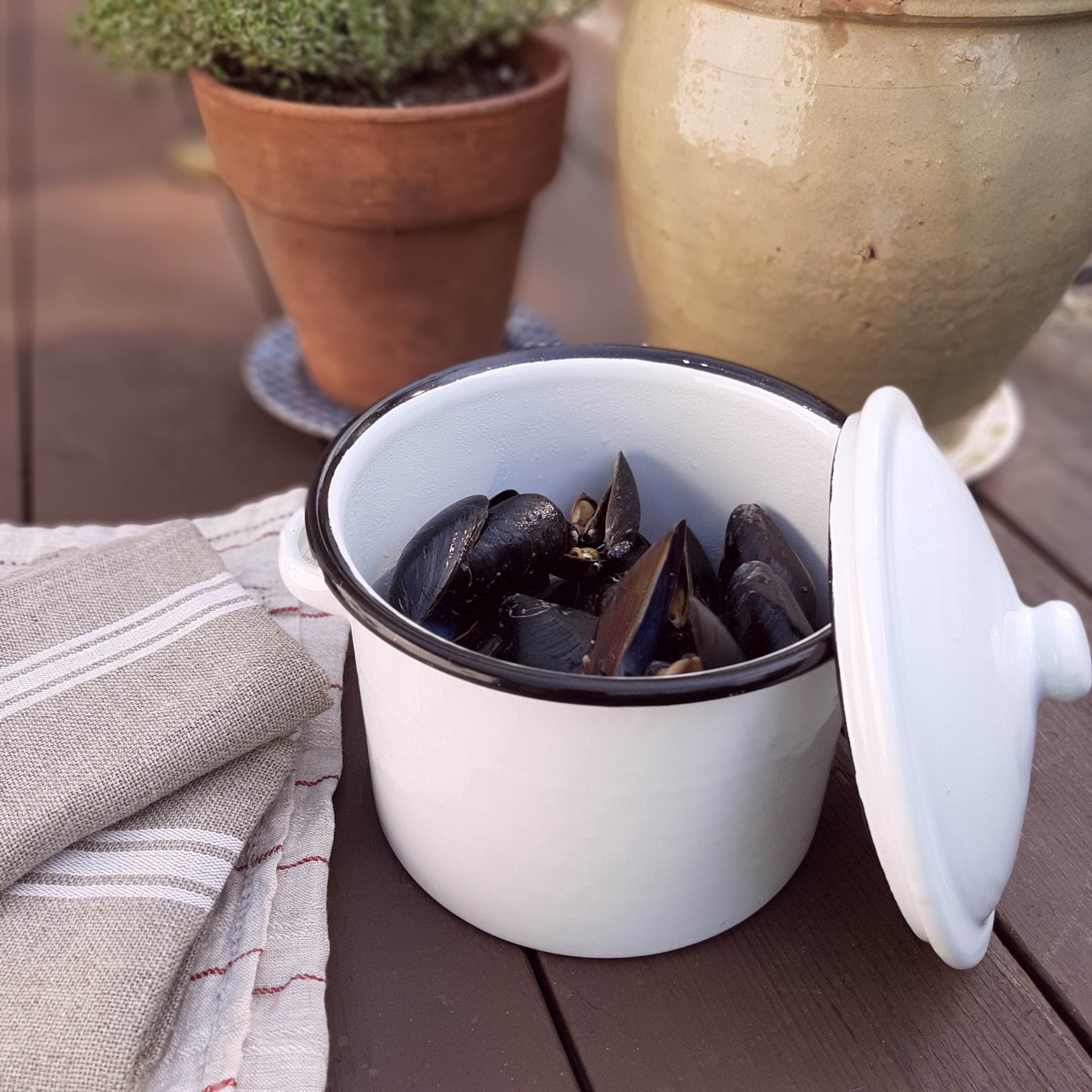 White Enamel Stock Pot with Black Rim